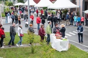 9-DOV- foto_kLemen Razinger_CCN 2019_low res-8257_DSC8257